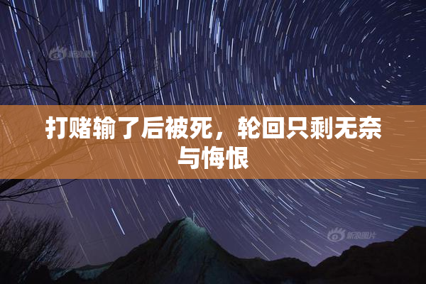 打赌输了后被死，轮回只剩无奈与悔恨