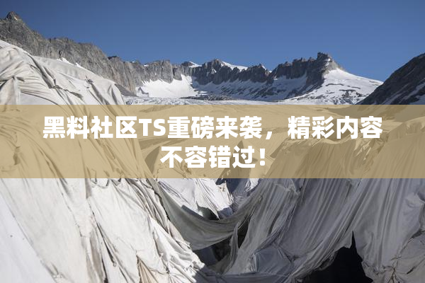 黑料社区TS重磅来袭，精彩内容不容错过！