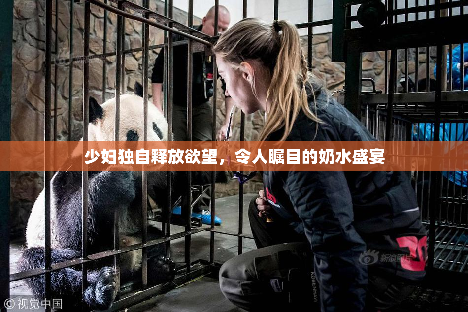 少妇独自释放欲望，令人瞩目的奶水盛宴