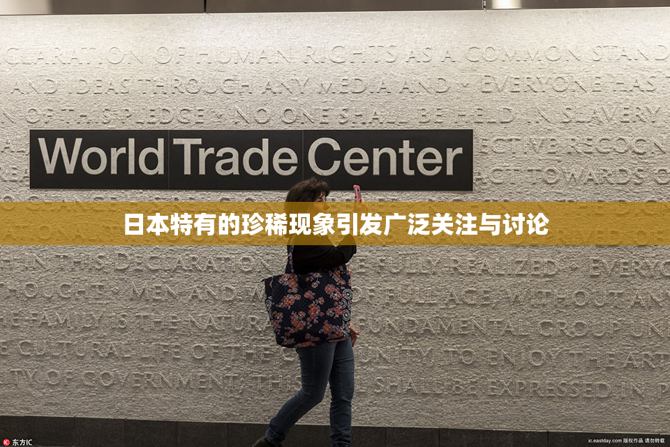 日本特有的珍稀现象引发广泛关注与讨论