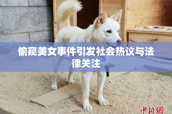 偷窥美女事件引发社会热议与法律关注