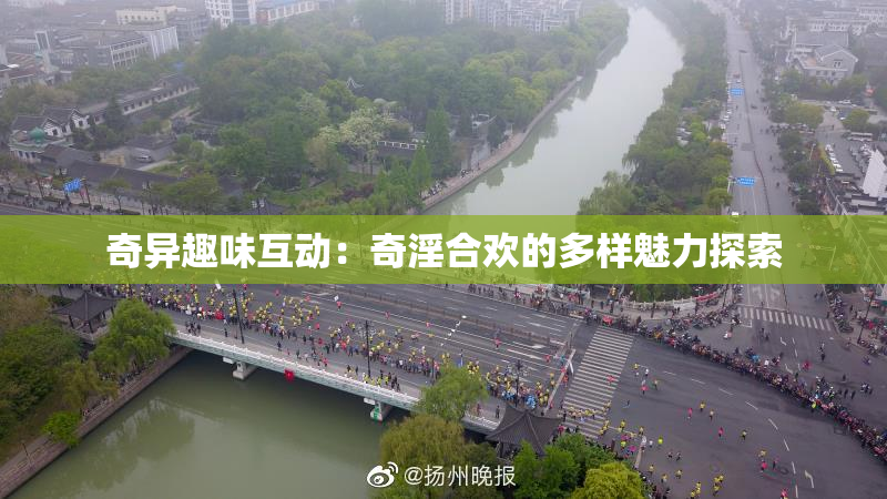 奇异趣味互动：奇淫合欢的多样魅力探索