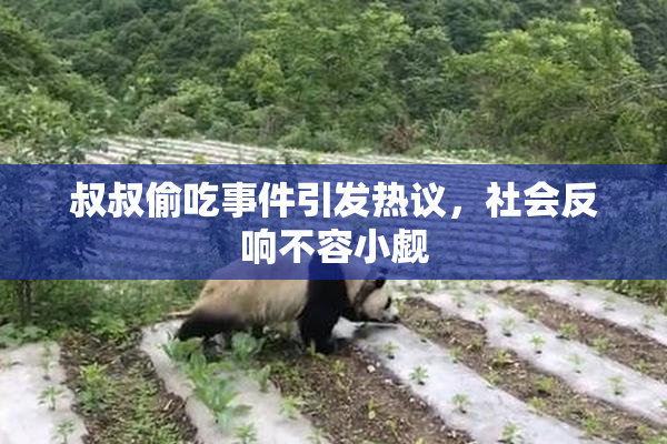 叔叔偷吃事件引发热议，社会反响不容小觑