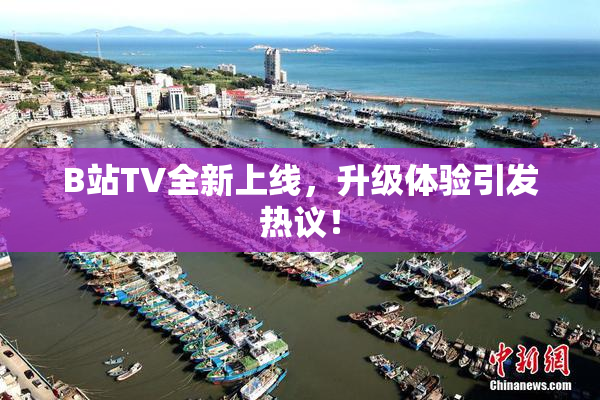 B站TV全新上线，升级体验引发热议！