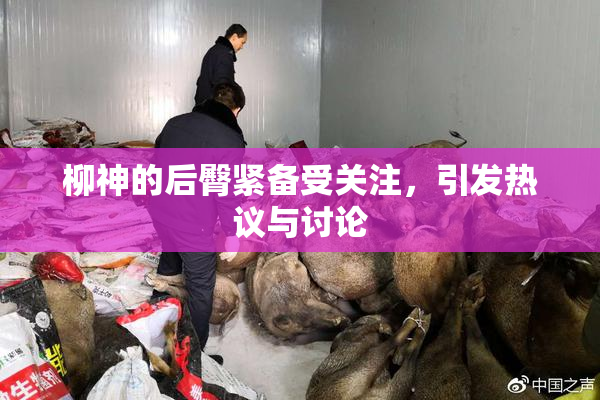 柳神的后臀紧备受关注，引发热议与讨论