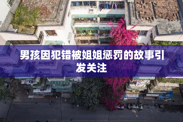 男孩因犯错被姐姐惩罚的故事引发关注