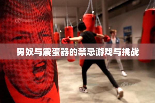 男奴与震蛋器的禁忌游戏与挑战