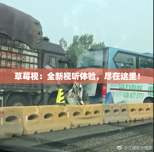 草莓视：全新视听体验，尽在这里！
