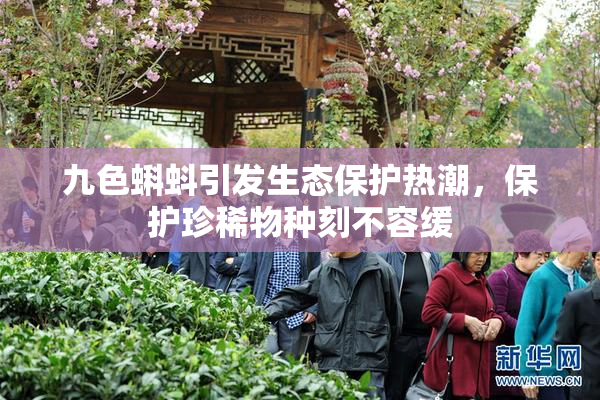 九色蝌蚪引发生态保护热潮，保护珍稀物种刻不容缓