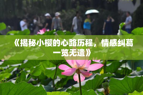 《揭秘小樱的心路历程，情感纠葛一览无遗》