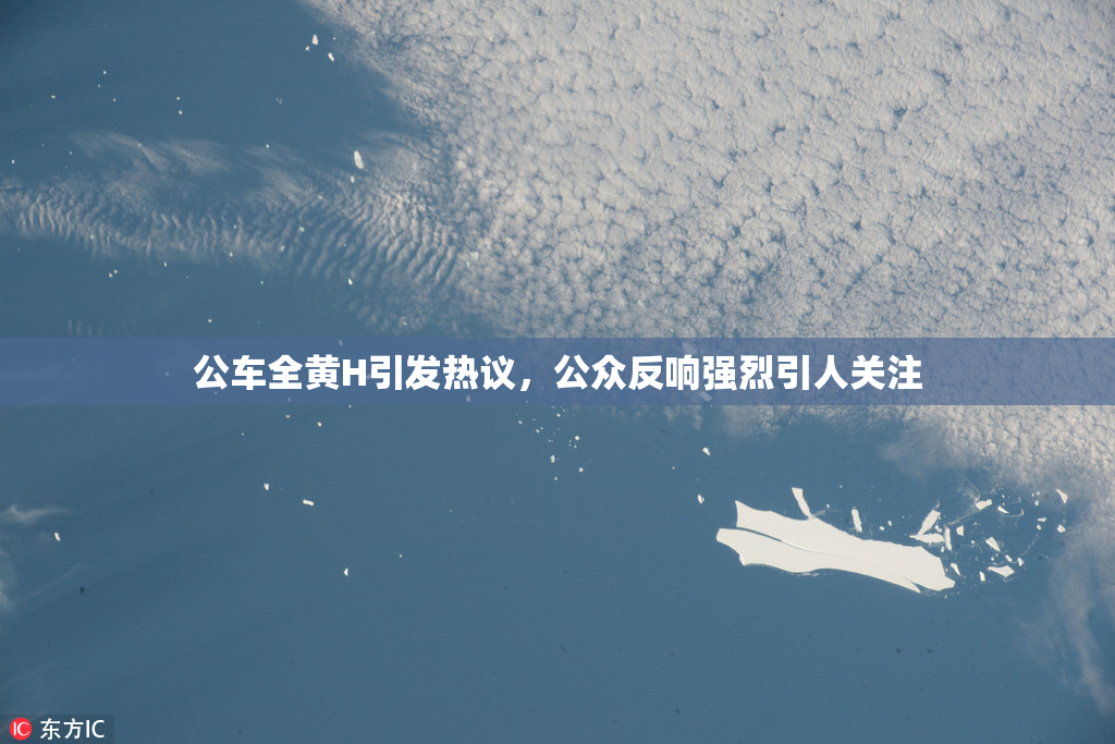 公车全黄H引发热议，公众反响强烈引人关注