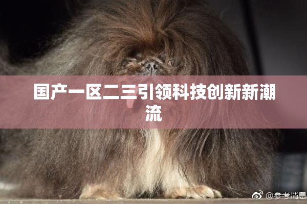 国产一区二三引领科技创新新潮流