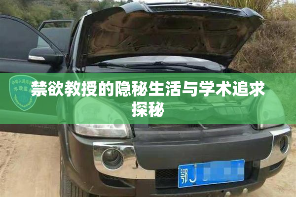 禁欲教授的隐秘生活与学术追求探秘