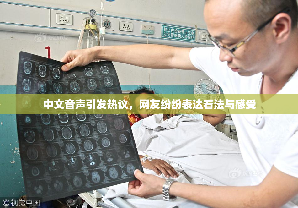 中文音声引发热议，网友纷纷表达看法与感受