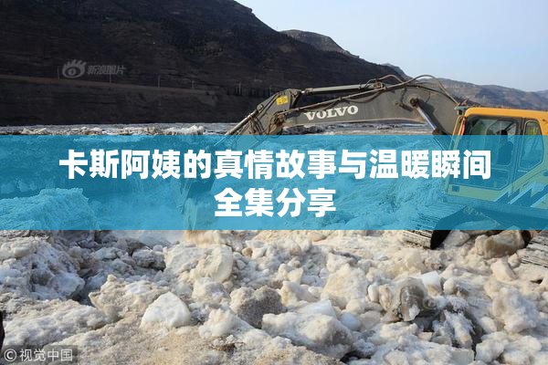 卡斯阿姨的真情故事与温暖瞬间全集分享