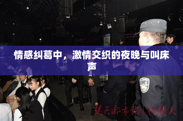 情感纠葛中，激情交织的夜晚与叫床声