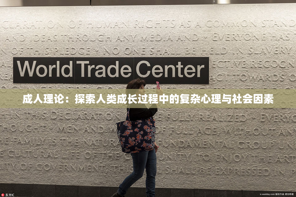成人理论：探索人类成长过程中的复杂心理与社会因素
