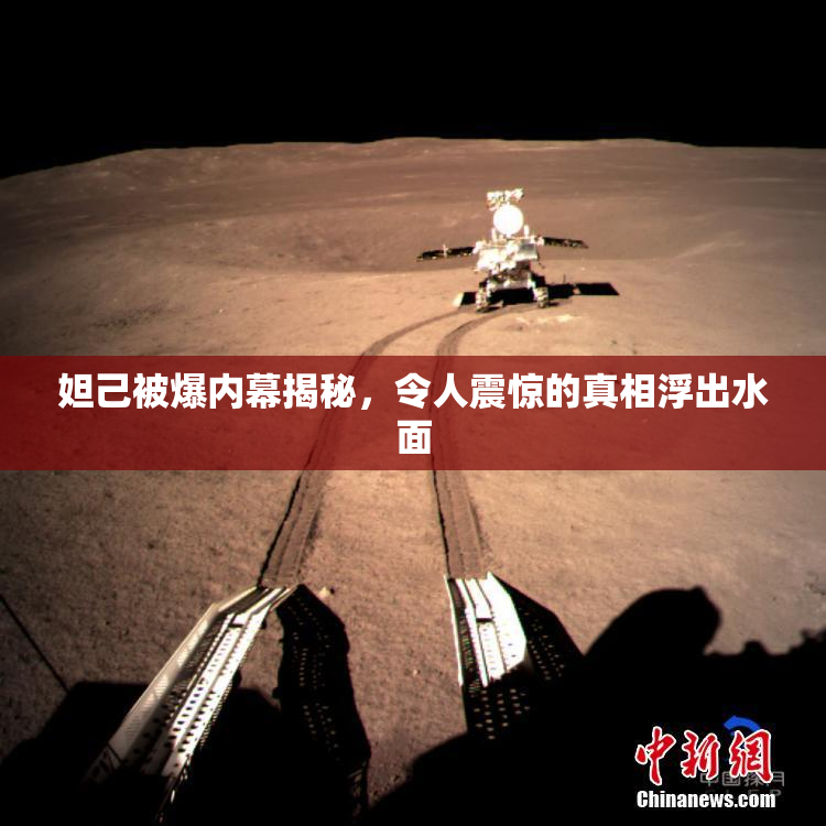 妲己被爆内幕揭秘，令人震惊的真相浮出水面