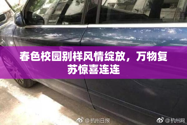 春色校园别样风情绽放，万物复苏惊喜连连