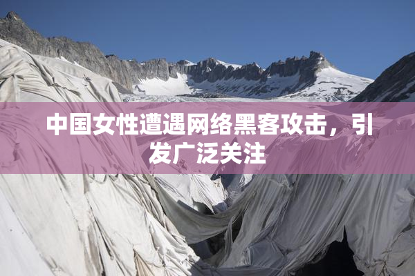 中国女性遭遇网络黑客攻击，引发广泛关注