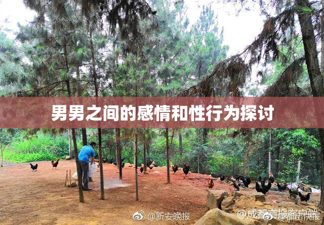男男之间的感情和性行为探讨