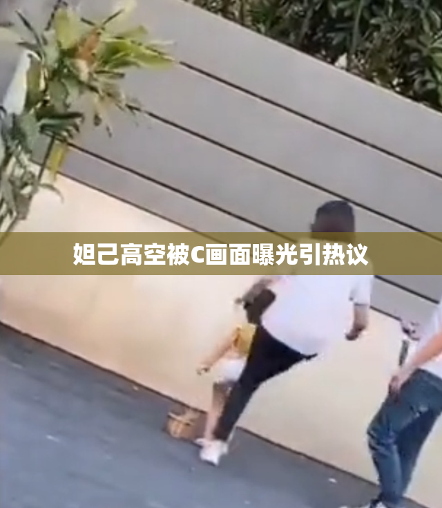 妲己高空被C画面曝光引热议