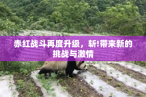 赤红战斗再度升级，斩!带来新的挑战与激情