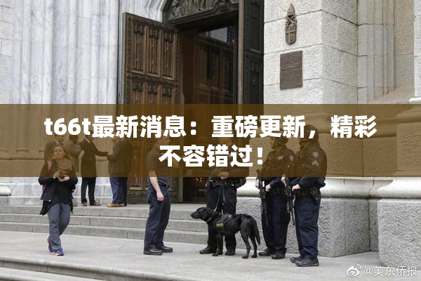 t66t最新消息：重磅更新，精彩不容错过！