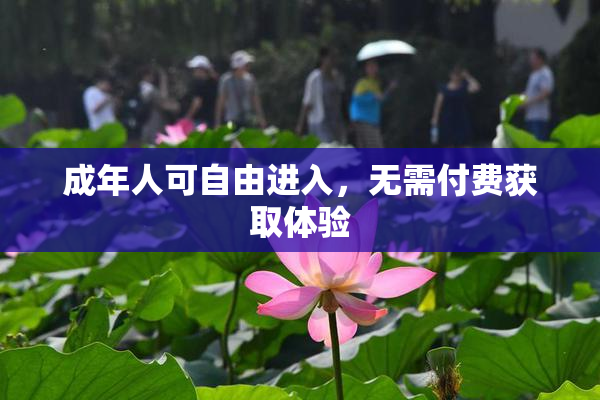 成年人可自由进入，无需付费获取体验