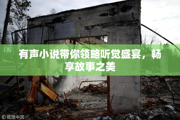 有声小说带你领略听觉盛宴，畅享故事之美
