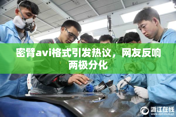 密臂avi格式引发热议，网友反响两极分化