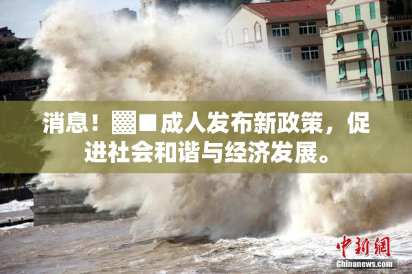 消息！▓■成人发布新政策，促进社会和谐与经济发展。