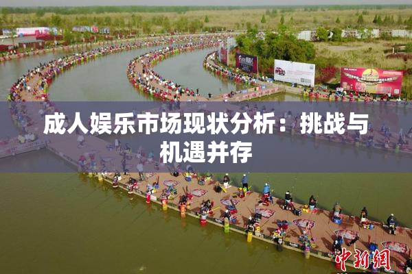 成人娱乐市场现状分析：挑战与机遇并存