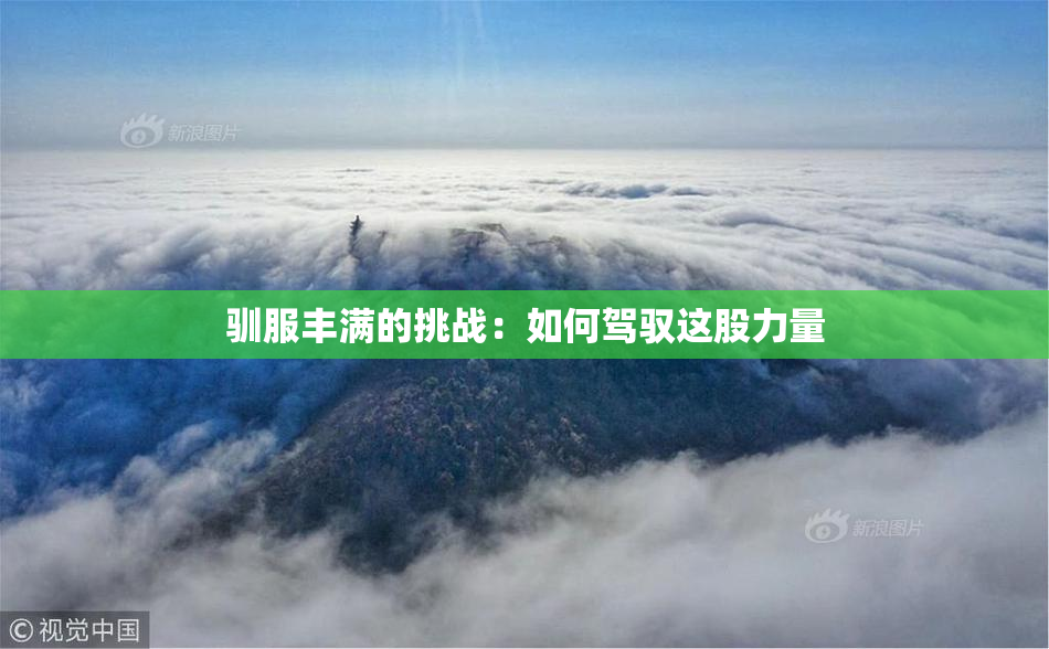 驯服丰满的挑战：如何驾驭这股力量