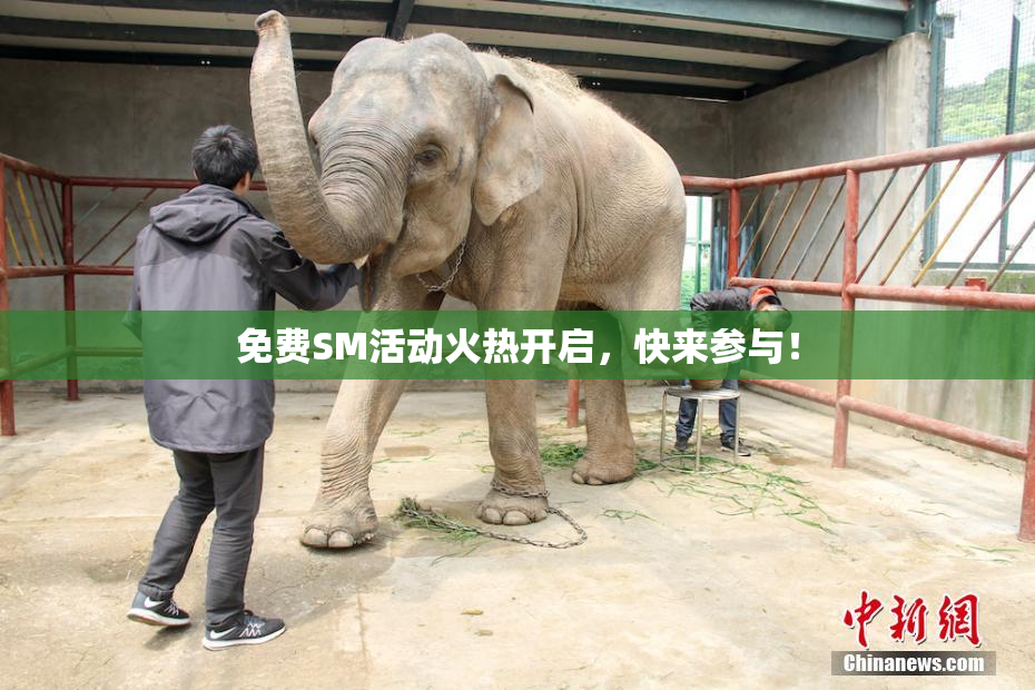 免费SM活动火热开启，快来参与！