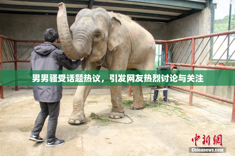 男男骚受话题热议，引发网友热烈讨论与关注