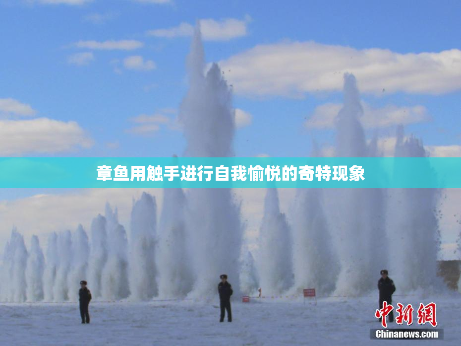 章鱼用触手进行自我愉悦的奇特现象