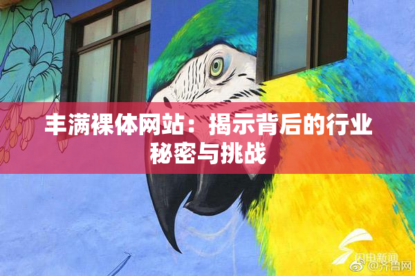 丰满裸体网站：揭示背后的行业秘密与挑战