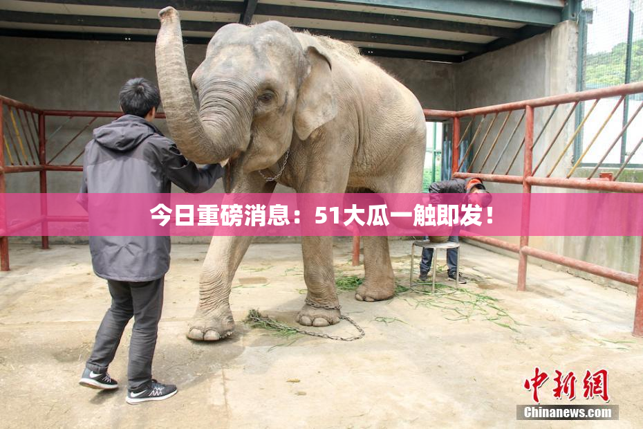 今日重磅消息：51大瓜一触即发！