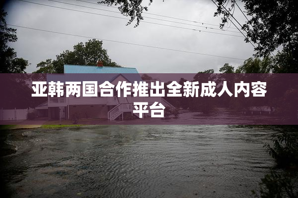 亚韩两国合作推出全新成人内容平台