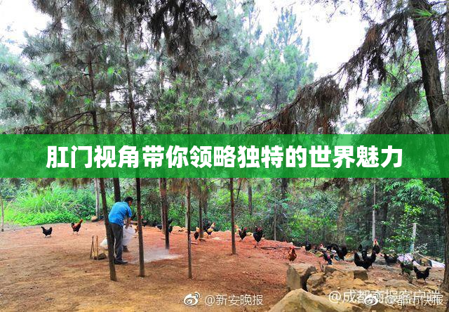 肛门视角带你领略独特的世界魅力