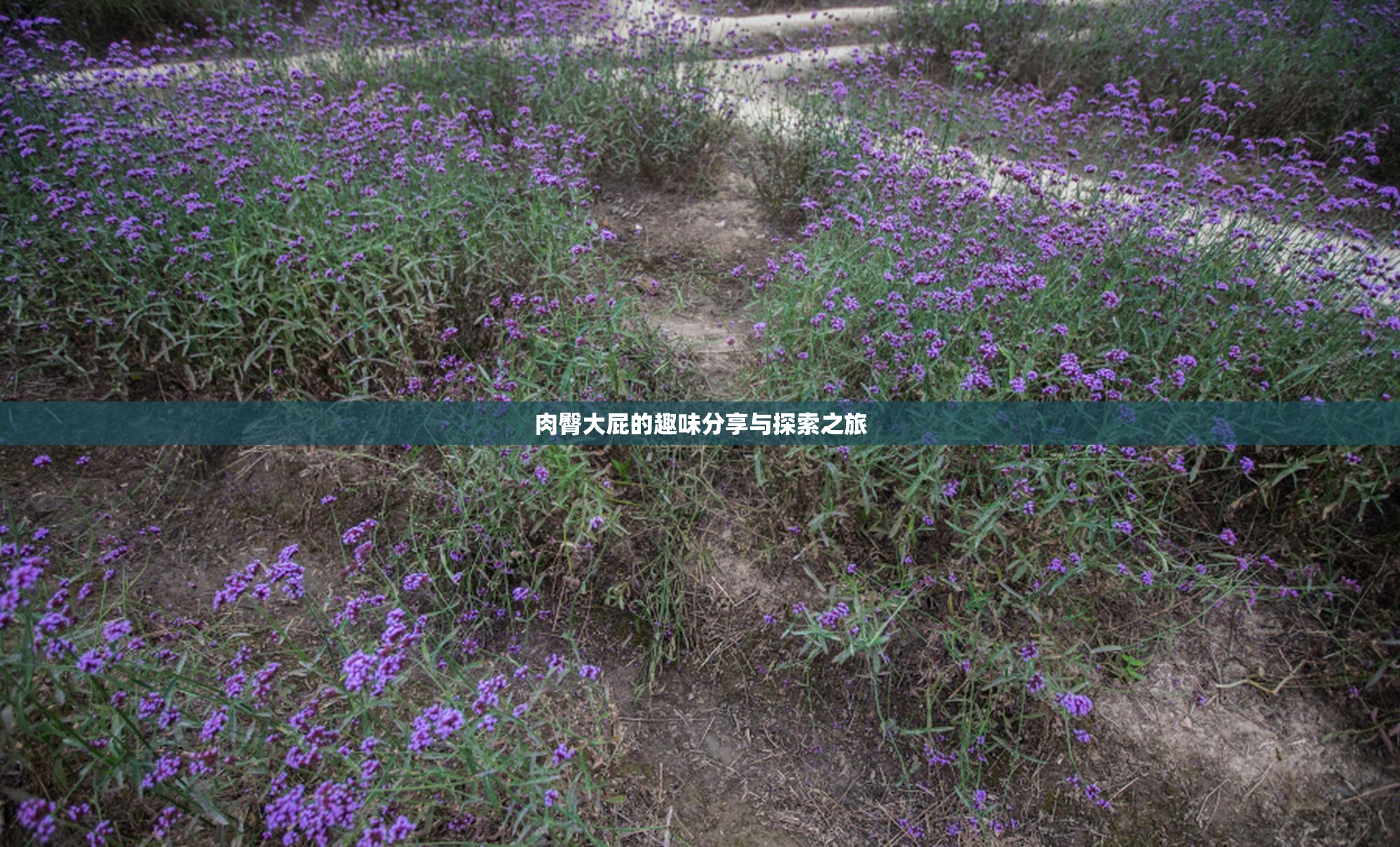 肉臀大屁的趣味分享与探索之旅