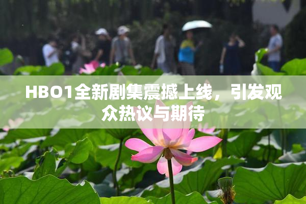 HBO1全新剧集震撼上线，引发观众热议与期待