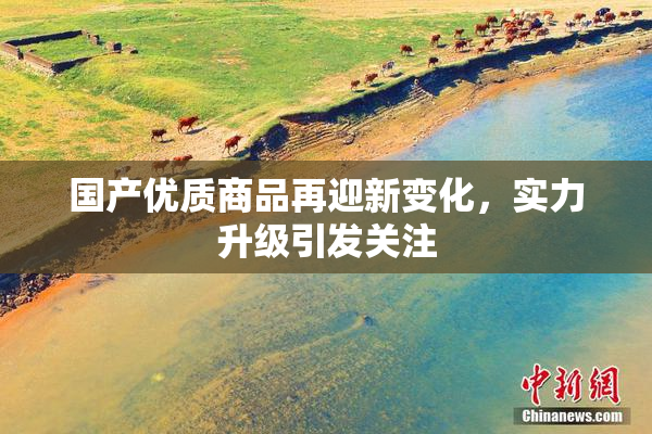 国产优质商品再迎新变化，实力升级引发关注