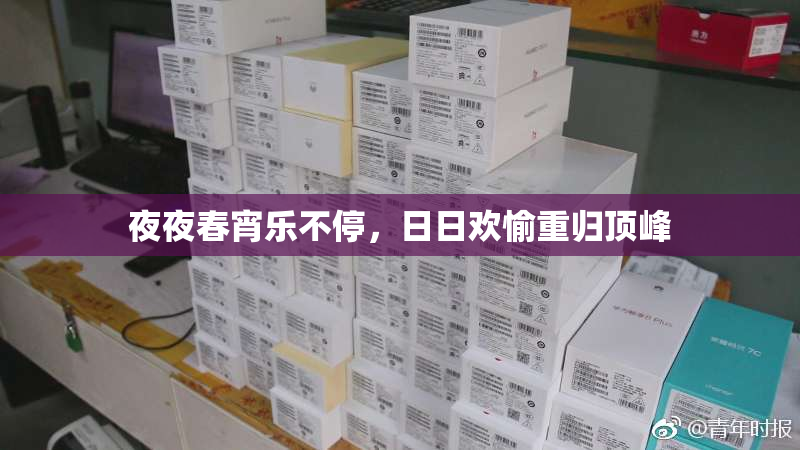 夜夜春宵乐不停，日日欢愉重归顶峰