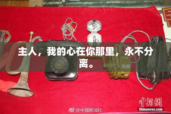 主人，我的心在你那里，永不分离。