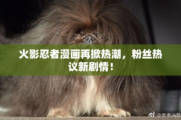 火影忍者漫画再掀热潮，粉丝热议新剧情！