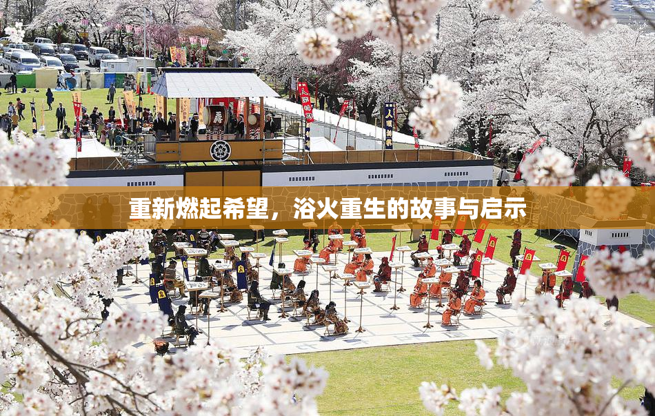 重新燃起希望，浴火重生的故事与启示