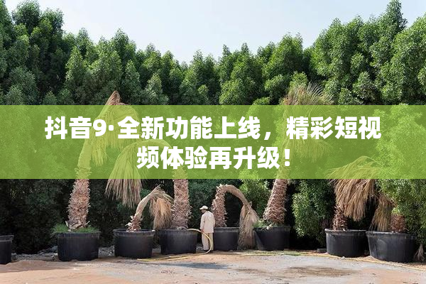 抖音9·全新功能上线，精彩短视频体验再升级！