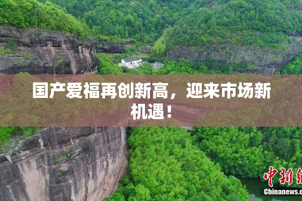 国产爱福再创新高，迎来市场新机遇！